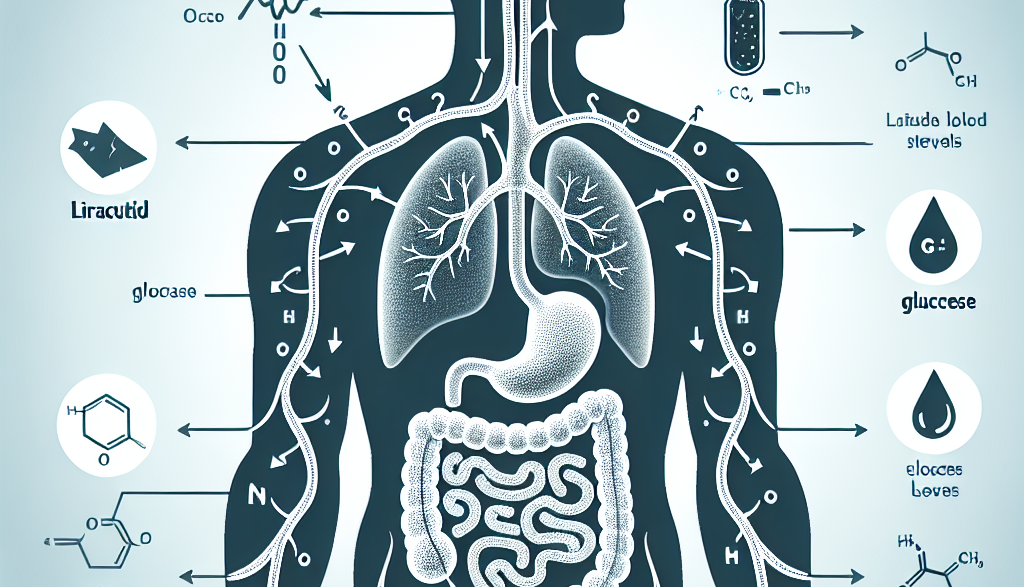Wie Liraglutid den Blutzuckerspiegel beeinflusst